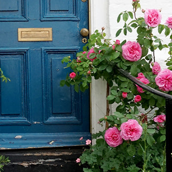 weathered wooden front door