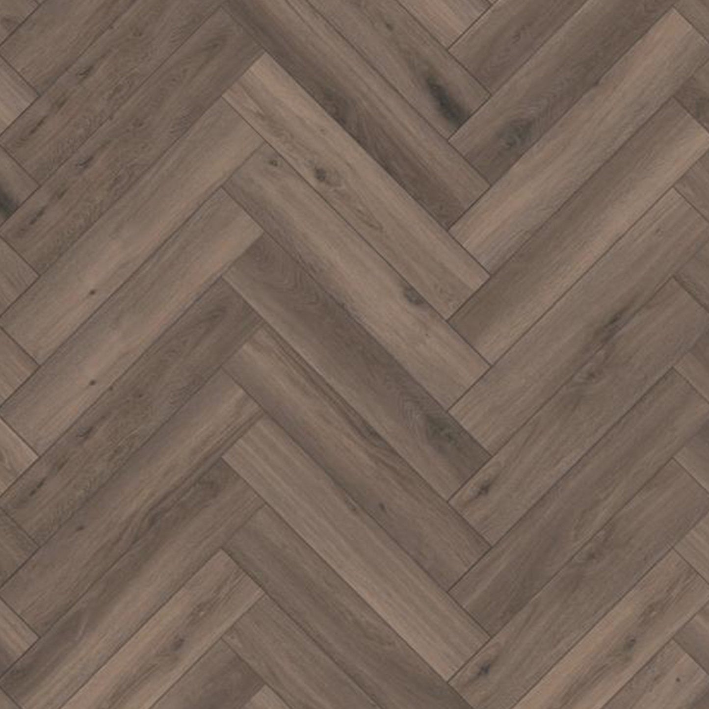 Kronotex | Ferrara Oak - Herringbone 8mm Laminate Sample - D3860 (SKU-344532)