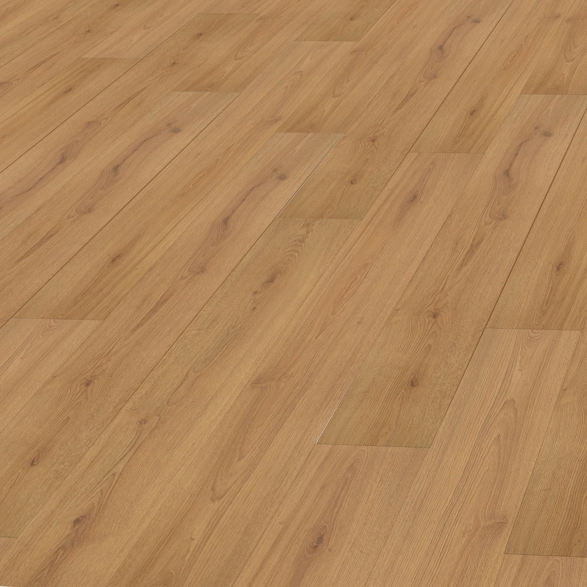 Trend Oak Nature - Standard Plus 7mm Laminate Flooring (108666)