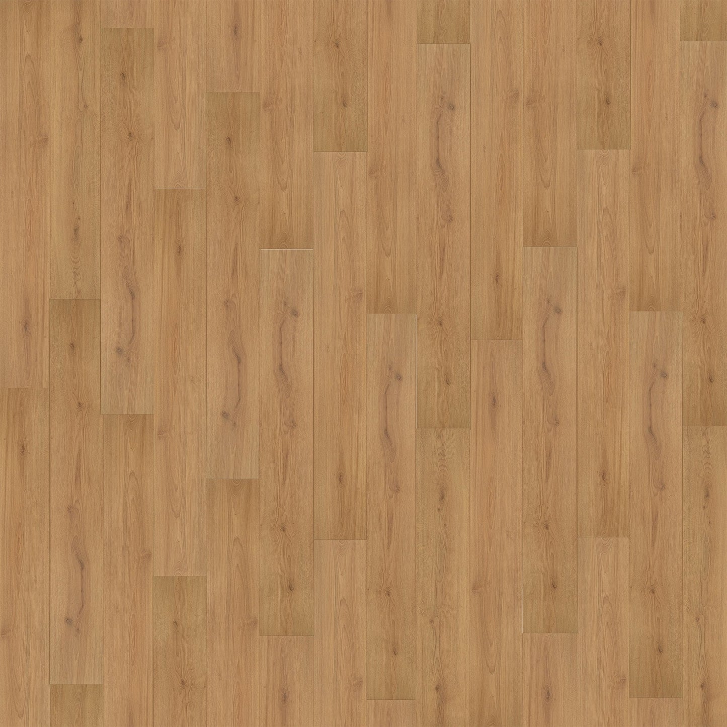 Trend Oak Nature - Standard Plus 7mm Laminate Flooring (108666)