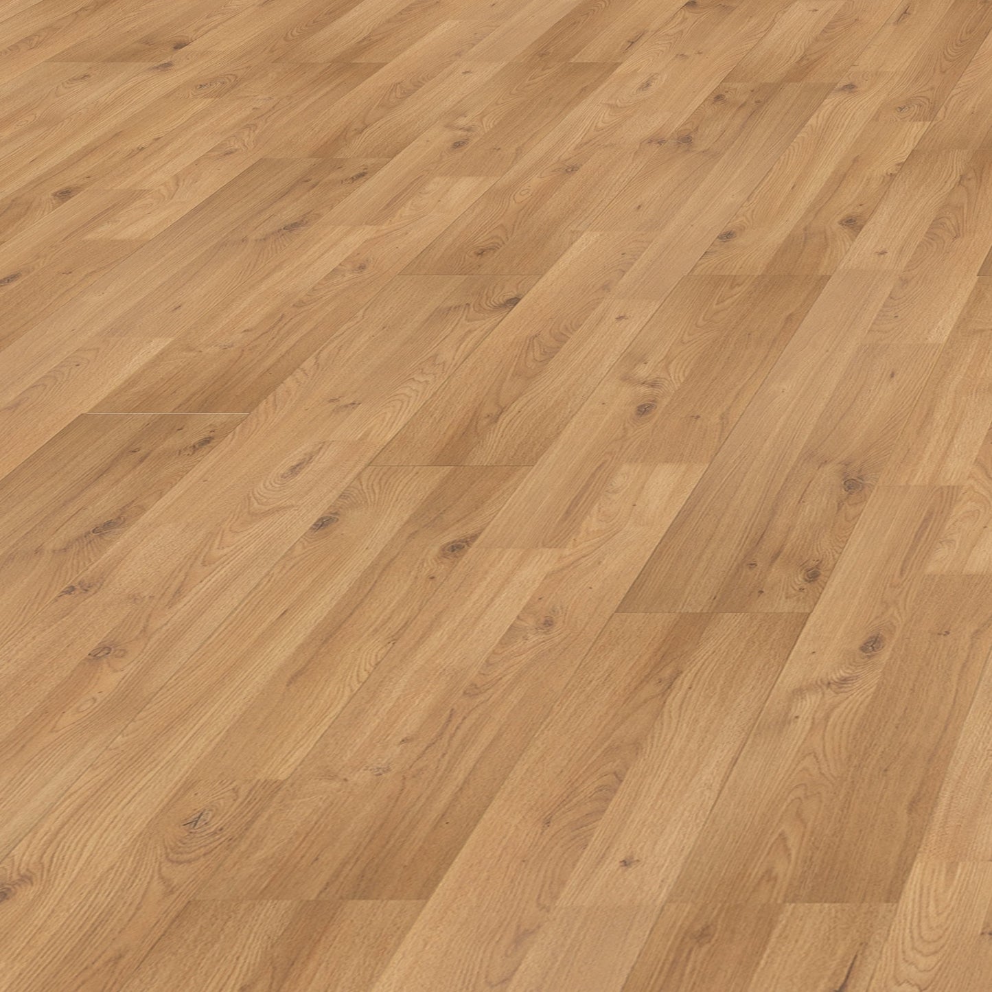 Winter Oak - Standard 7mm Laminate Flooring (108665)