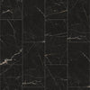 Black Marble - Lifestyle Plus 5mm Rigid Core Vinyl Flooring (119173)