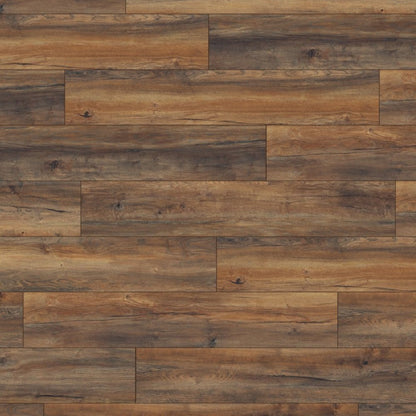 Harbour Oak - Exquisite Plus 8mm Laminate Flooring (54194)