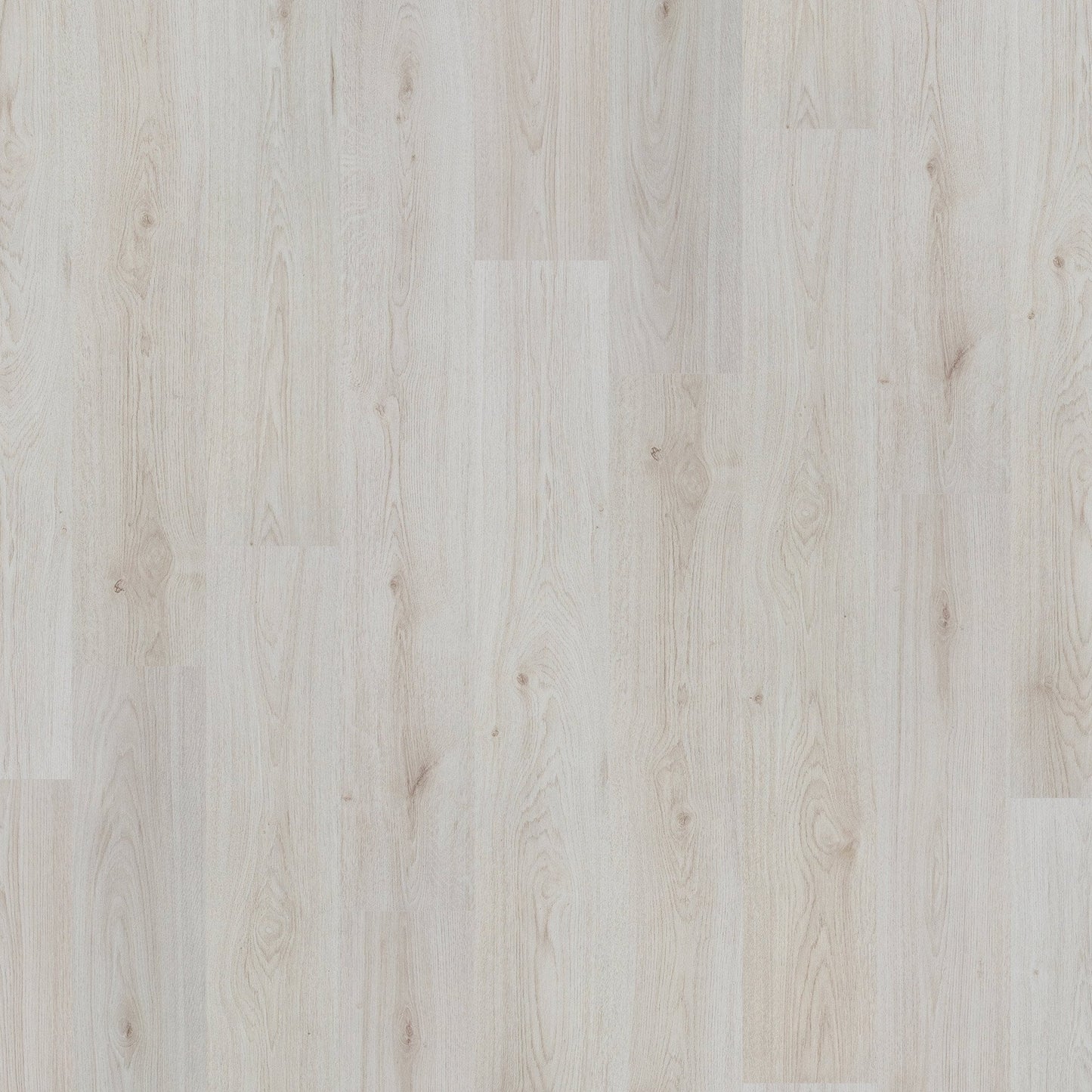 Trend Oak White - Basic 6mm Laminate Flooring (107818)