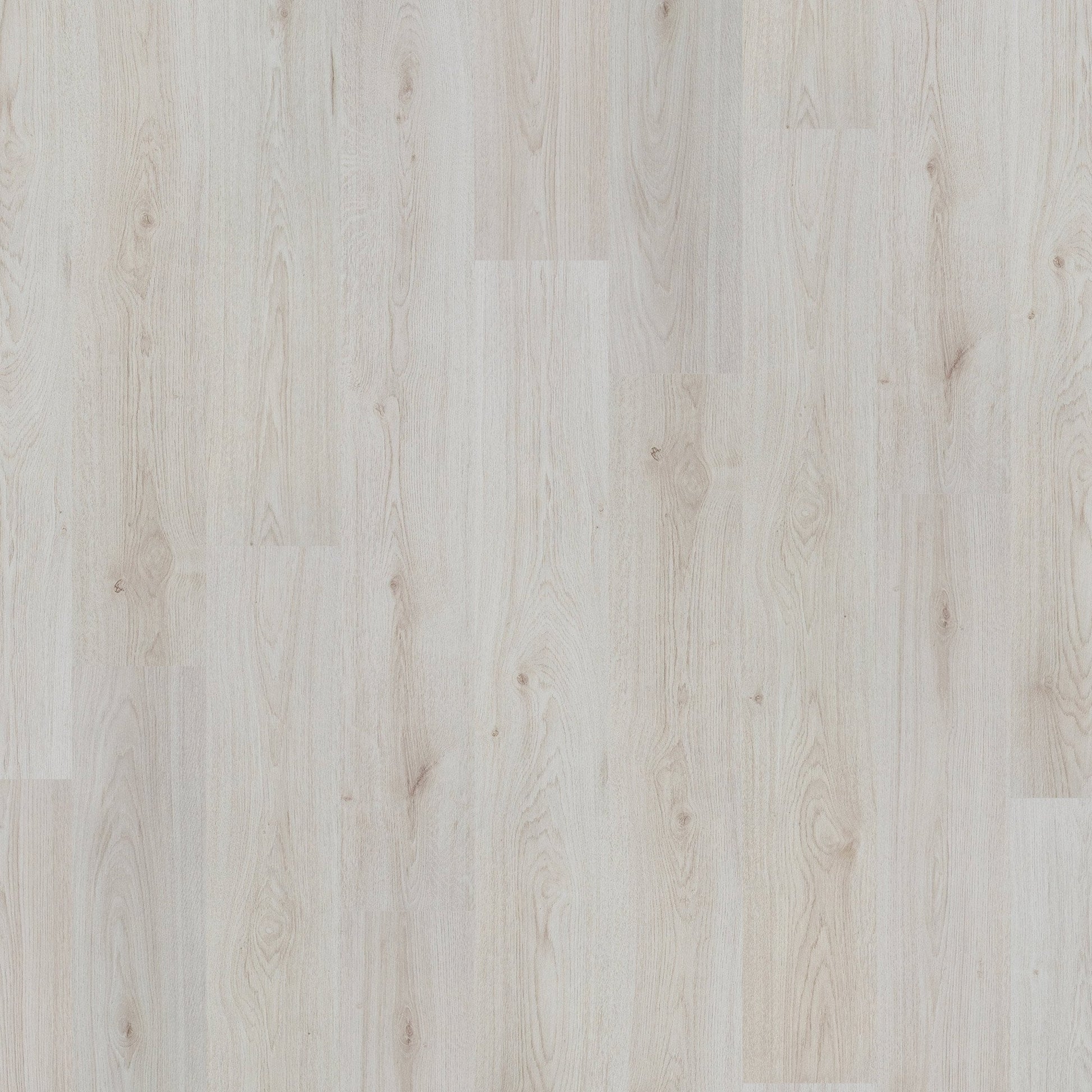 Trend Oak White - Basic 6mm Laminate Flooring (107818)