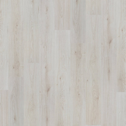 Trend Oak White - Basic 6mm Laminate Flooring (107818)