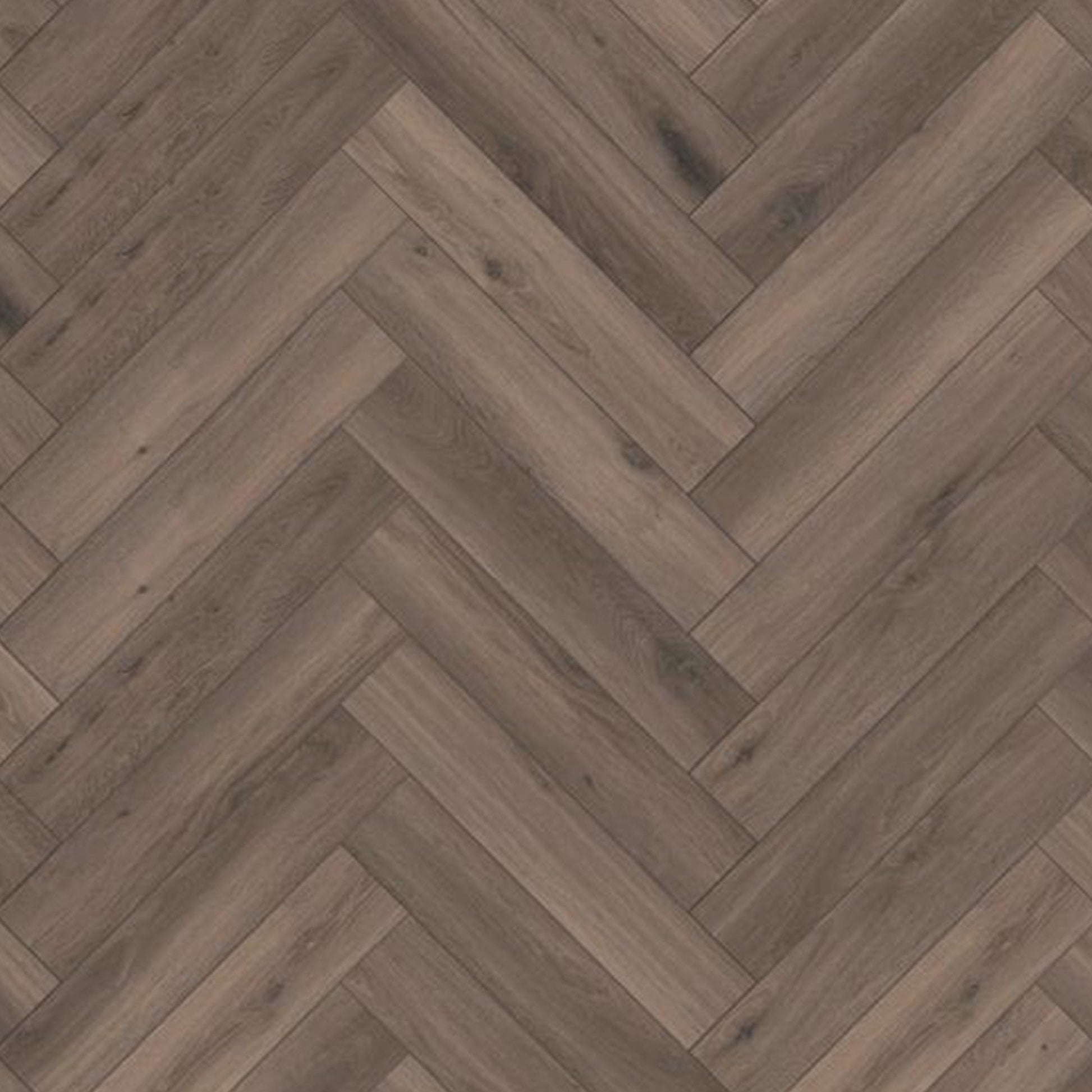 Kronotex | Ferrara Oak - Herringbone 8mm Laminate Sample - D3860 (SKU-344532)