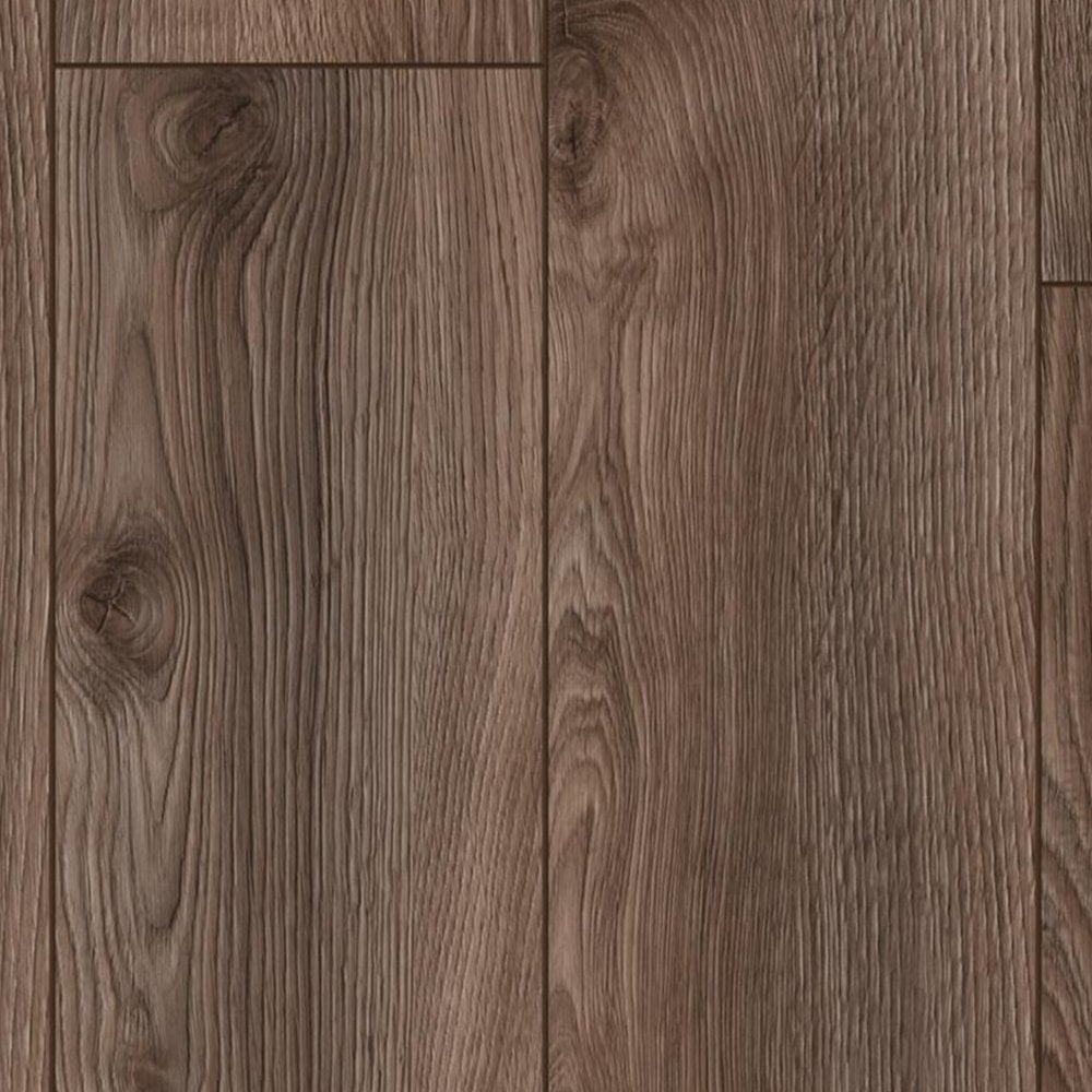 Kronotex | Macro Oak Grey - Mammut Long Plank 12mm Laminate Sample - D4792 (SKU-344549)