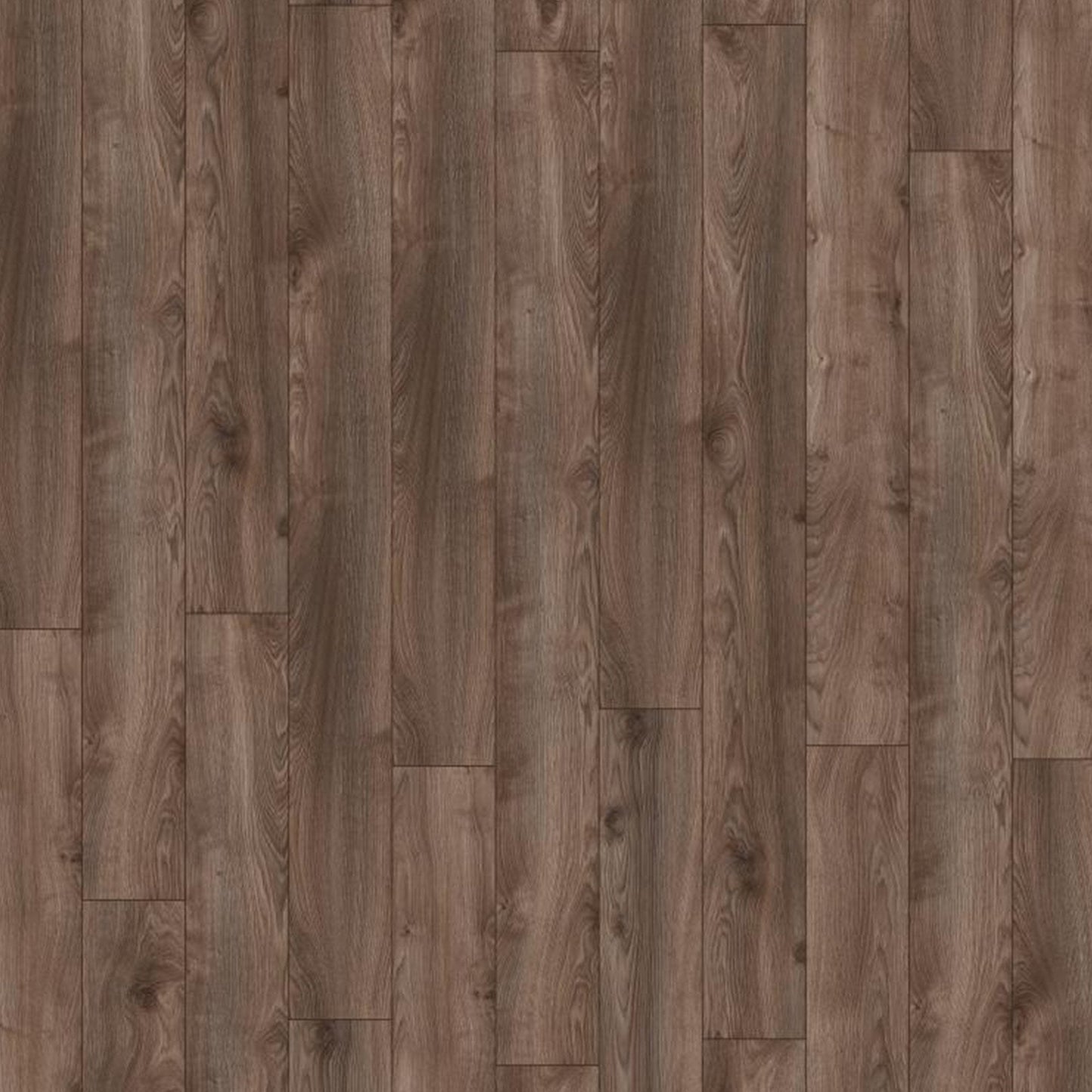 Kronotex | Macro Oak Brown - Mammut Plus Long Plank 10mm Laminate Sample - D4791 (SKU-344554)