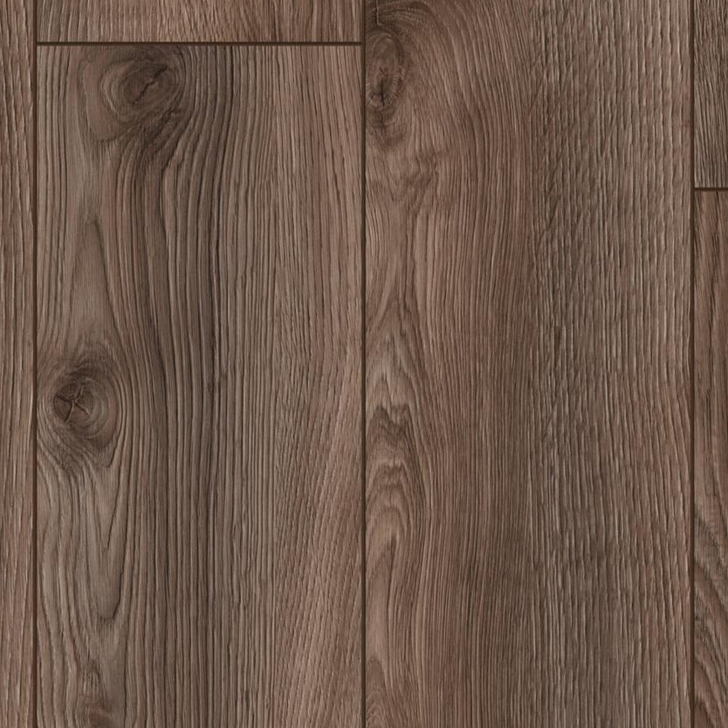 Kronotex | Macro Oak Grey - Mammut Plus Long Plank 10mm Laminate Sample - D4792 (SKU-344555)