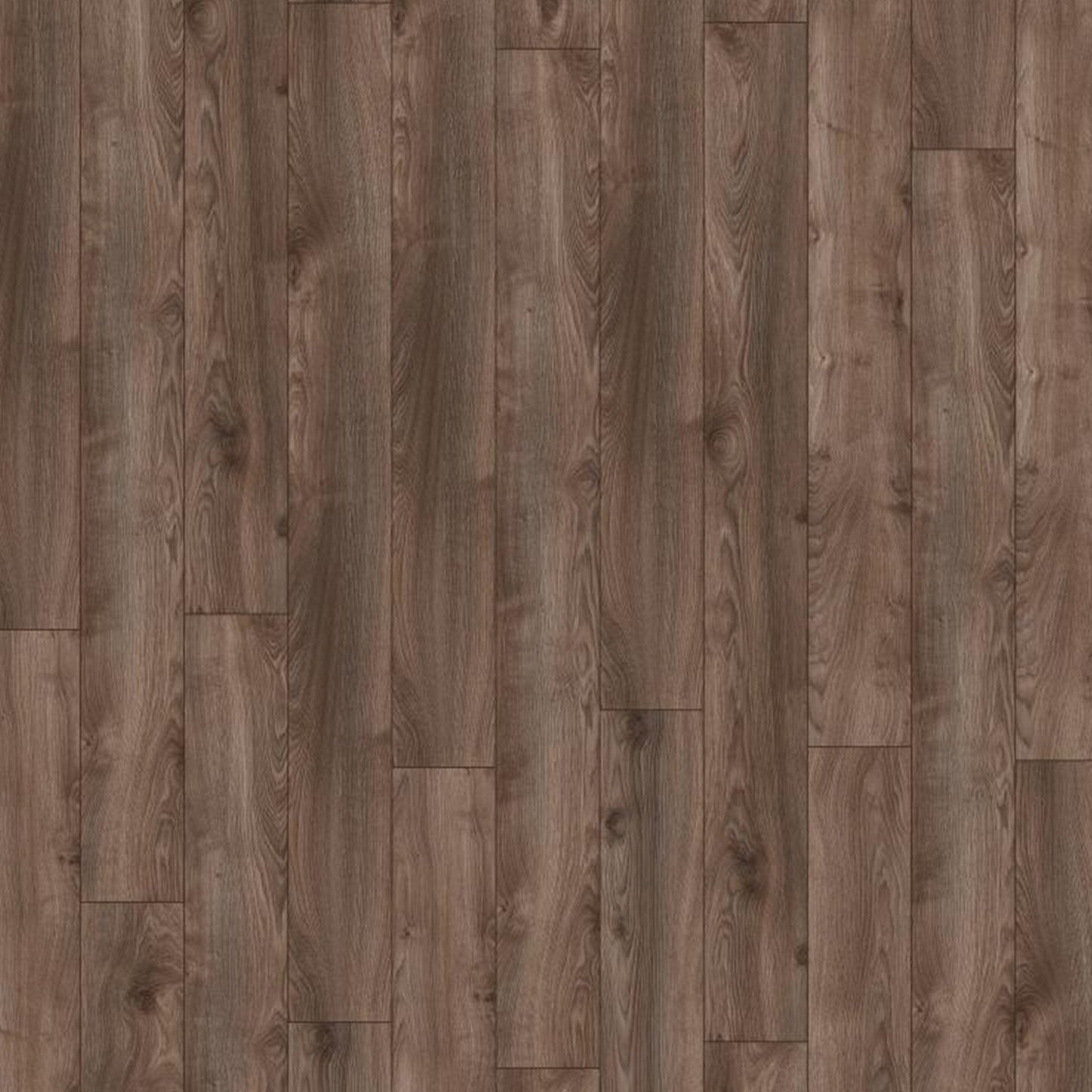 Kronotex | Macro Oak Grey - Mammut Plus Long Plank 10mm Laminate Sample - D4792 (SKU-344555)