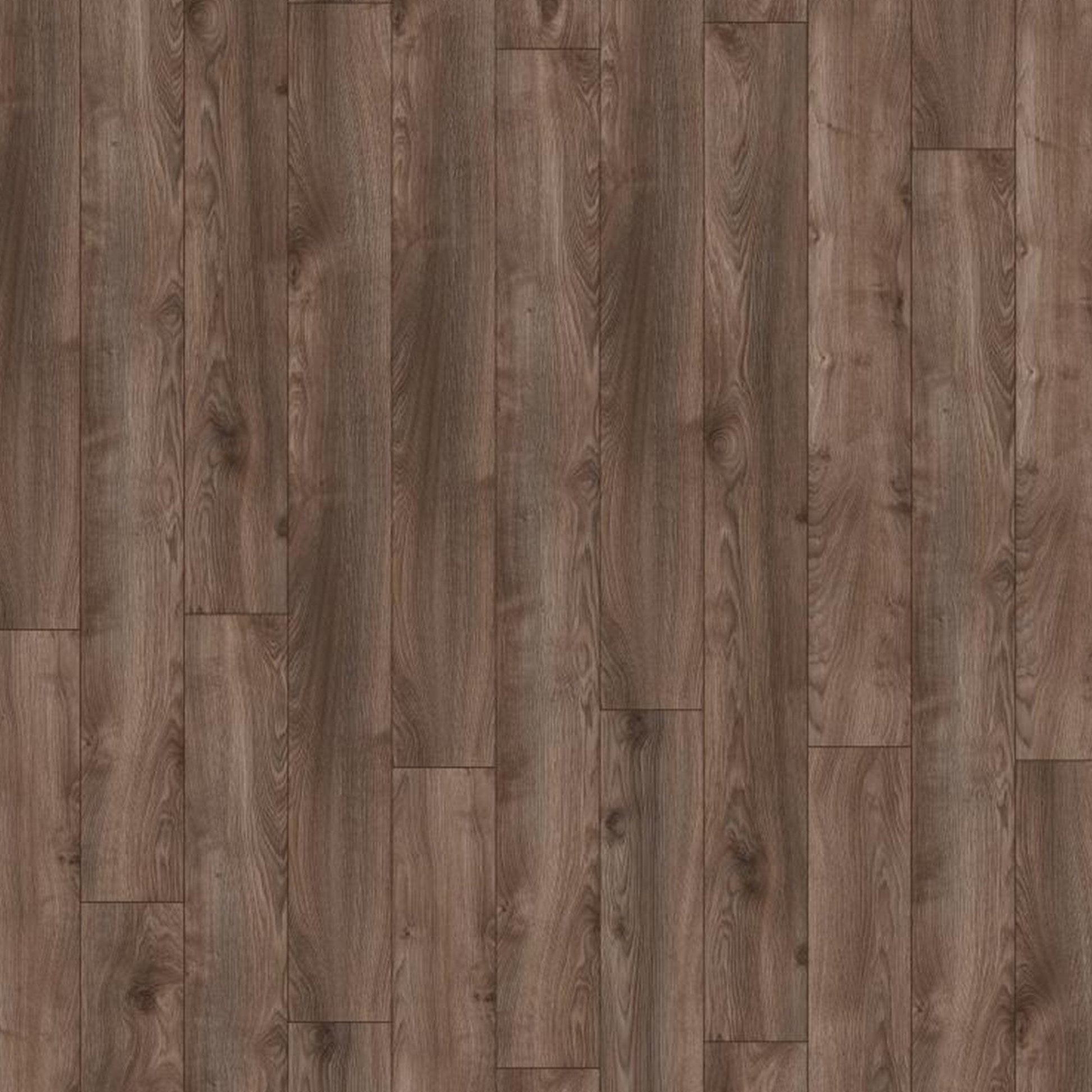 Kronotex | Macro Oak Grey - Mammut Plus Long Plank 10mm Laminate Sample - D4792 (SKU-344555)