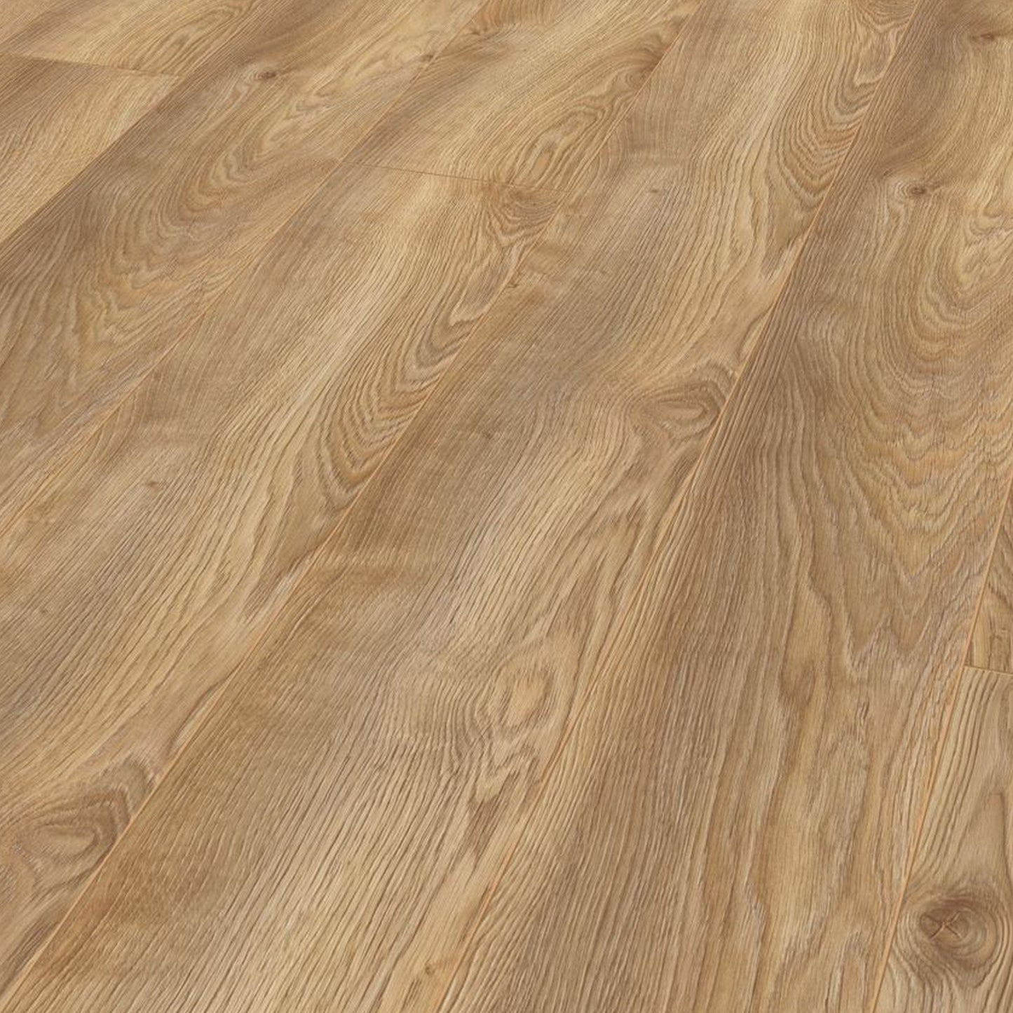 Kronotex | Macro Oak Nature - Mammut Plus Long Plank 10mm Laminate Sample - D4794 (SKU-344556)