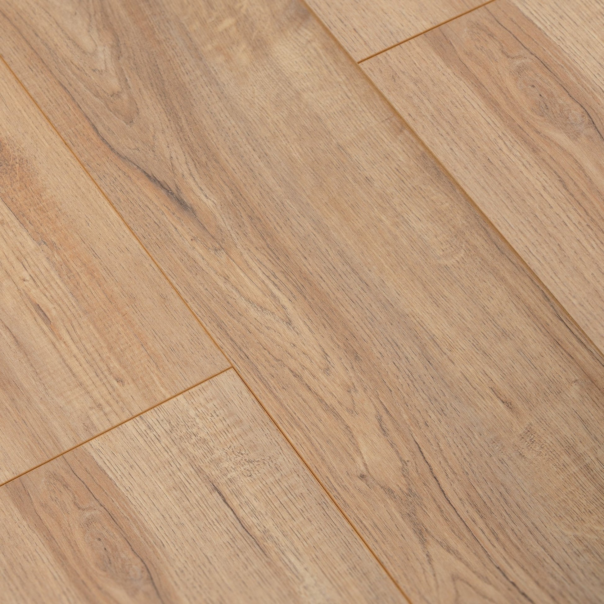 Montmelo Nature Oak - Exquisite Plus 8mm Laminate Flooring (54197)