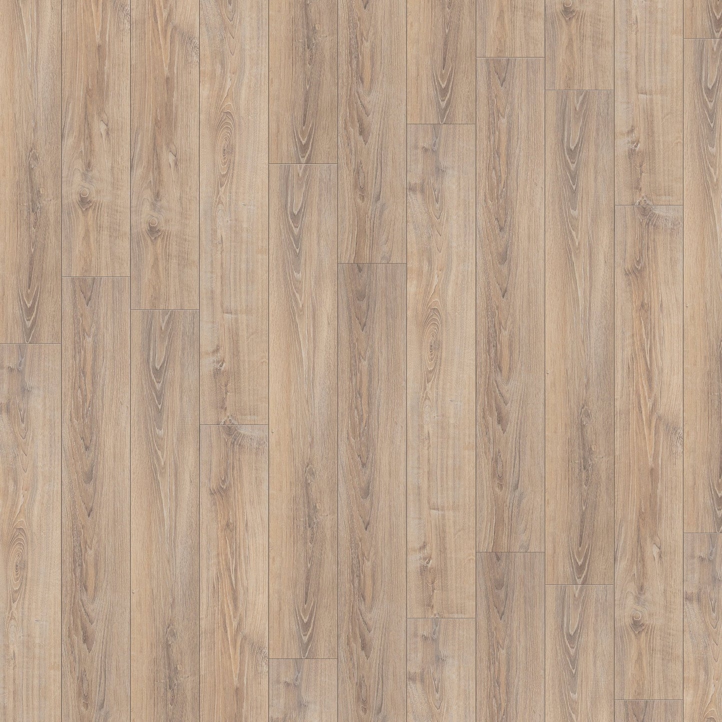 Whitewashed Oak - Exquisite 8mm Laminate Flooring (54182)