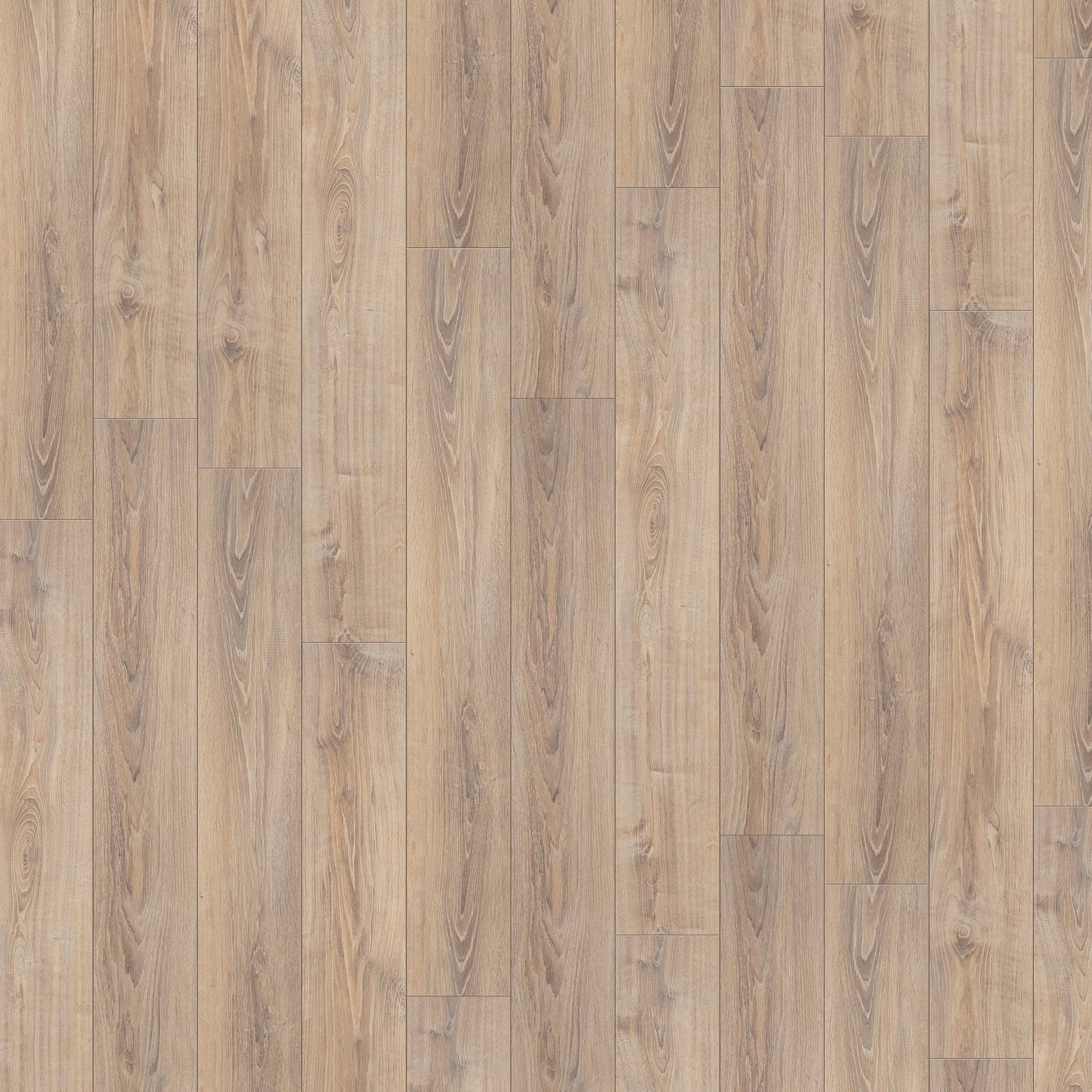 Whitewashed Oak - Exquisite 8mm Laminate Flooring (54182)