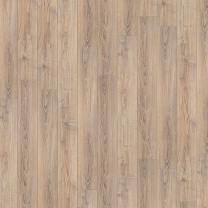 Whitewashed Oak - Exquisite 8mm Laminate Flooring (54182)