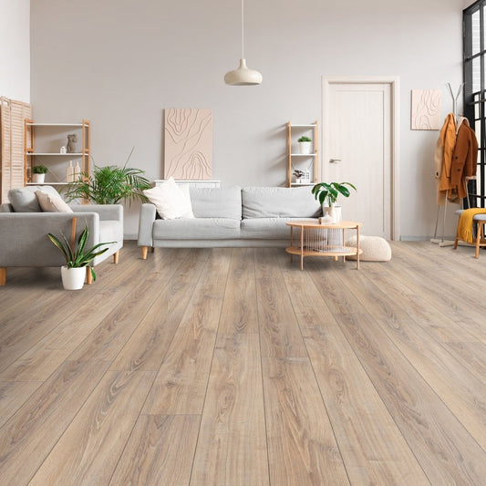 Whitewashed Oak - Exquisite 8mm Laminate Flooring (54182)