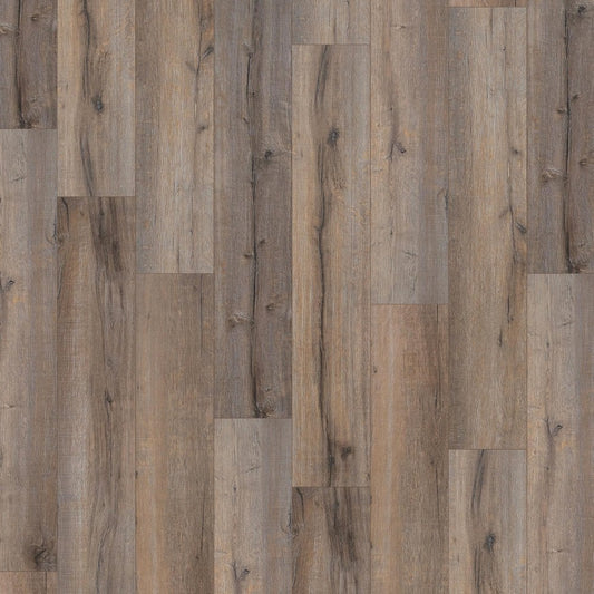 Kronotex | Rift Oak Exquisite Plus 8mm Laminate Sample (SKU-221379)