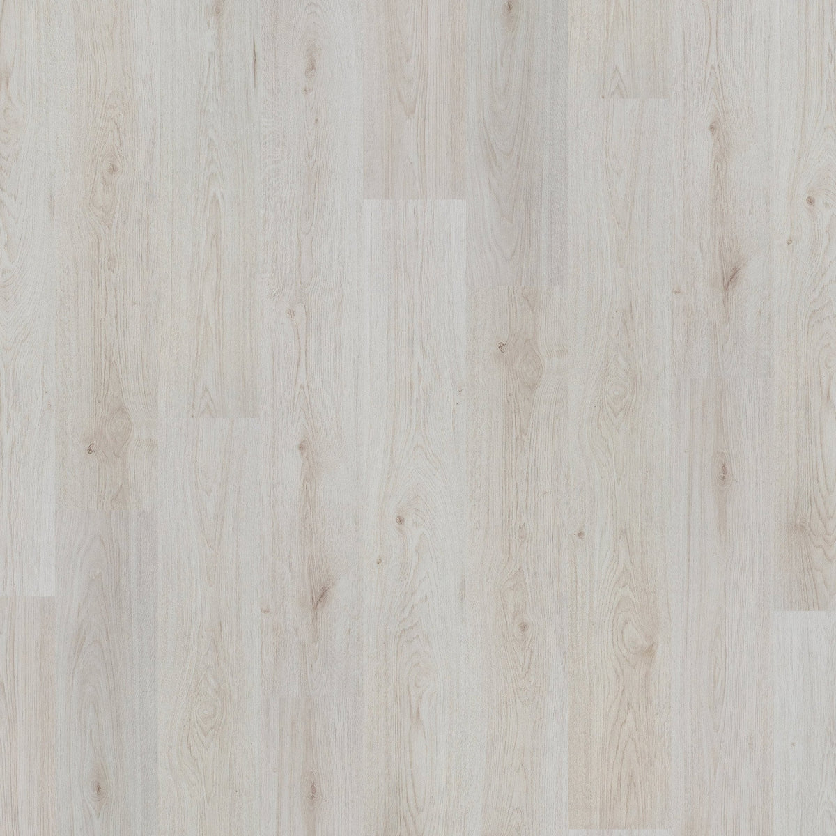 Trend Oak White - Basic 6mm Laminate Flooring (107818)