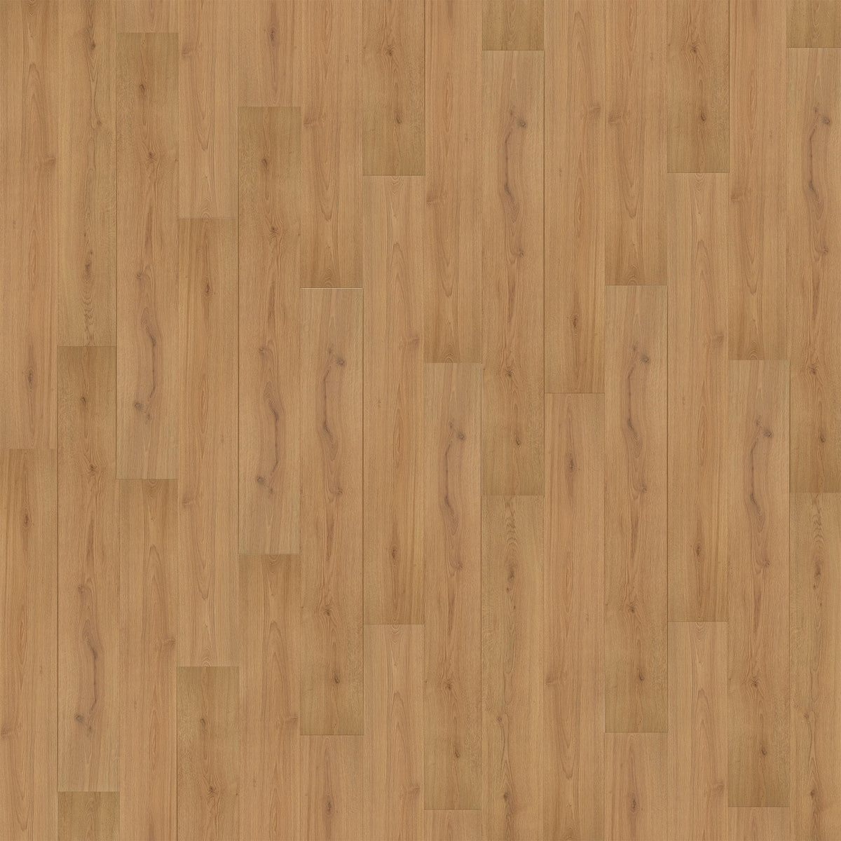 Trend Oak Nature - Standard Plus 7mm Laminate Flooring (108666)