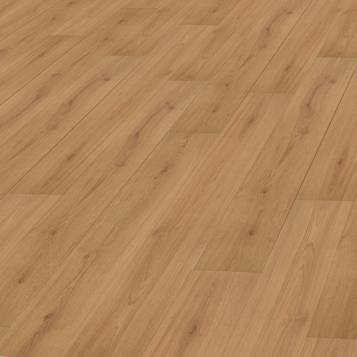 Trend Oak Nature - Standard Plus 7mm Laminate Flooring (108666)