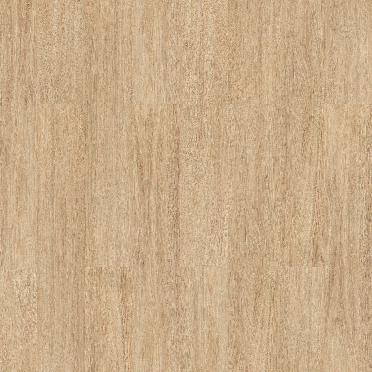 Prime Oak - Lifestyle SPC 5mm Rigid Core Vinyl Flooring (119076)