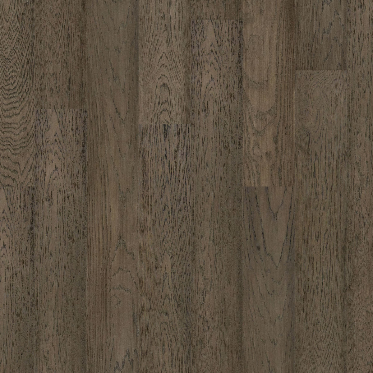 Cleve Oak - HydroShield Waterproof Engineered Real Wood Flooring
