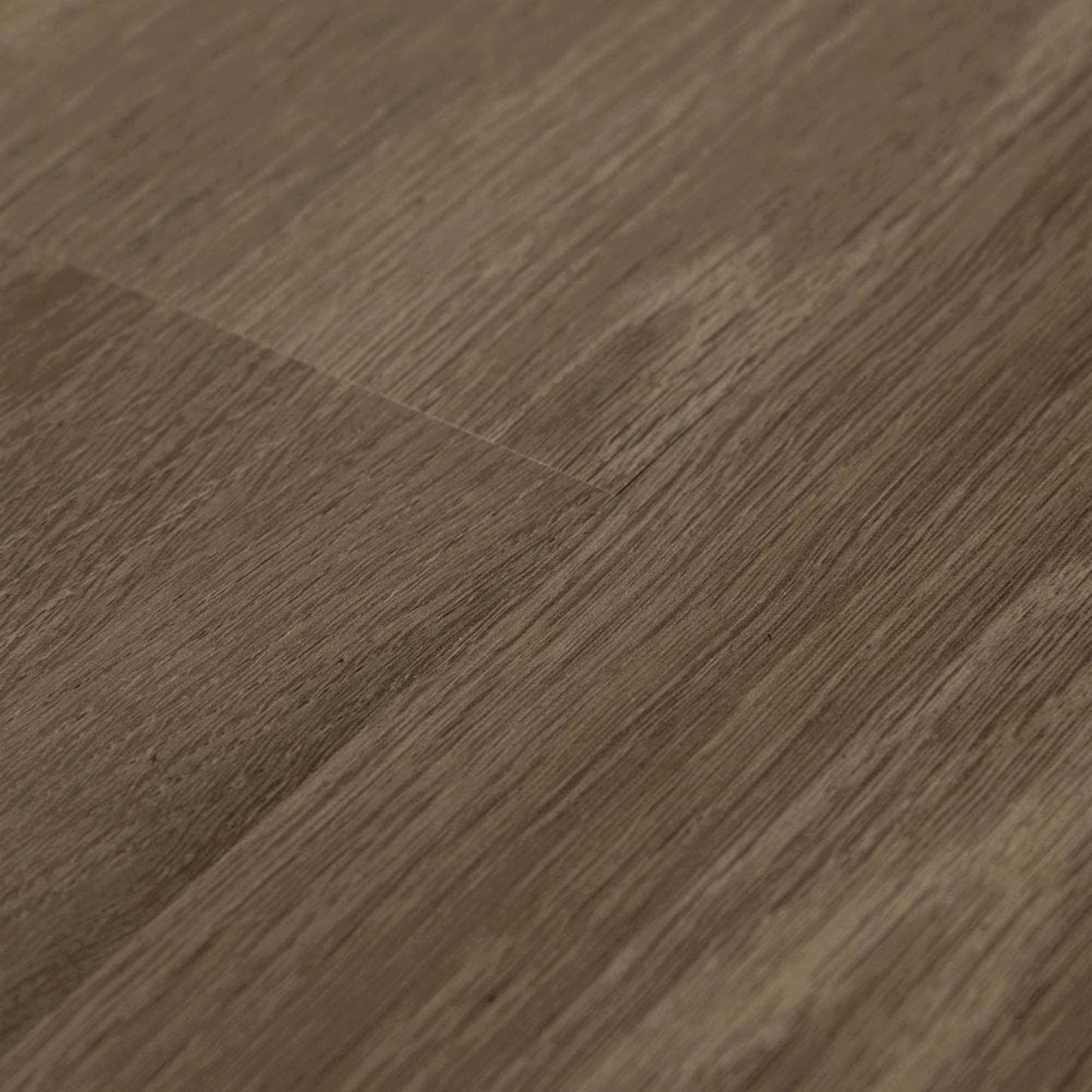 Silver Grey Oak - Glamour 12mm High Gloss Laminate Flooring