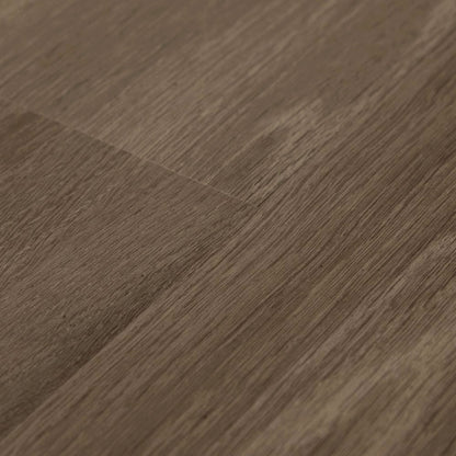 Silver Grey Oak - Glamour 12mm High Gloss Laminate Flooring