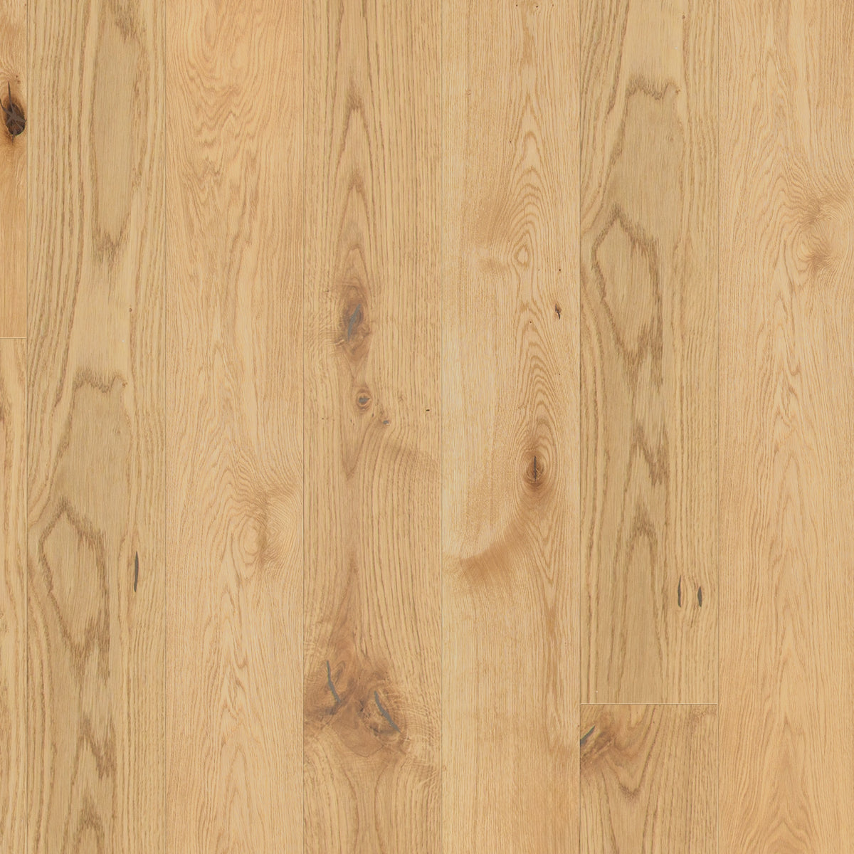 Natural Oak - 14mm Light Brushed 5G Click Engineered Real Wood Flooring