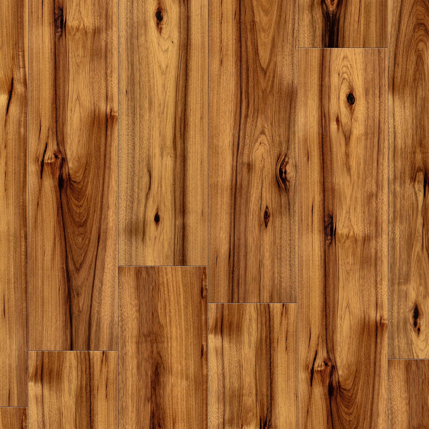 Hickory Sunday - Aqua Pro Water resistant 8.5mm High Gloss Laminate Flooring