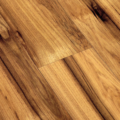 Hickory Bravo - Aqua Pro 8mm High Gloss Laminate Flooring