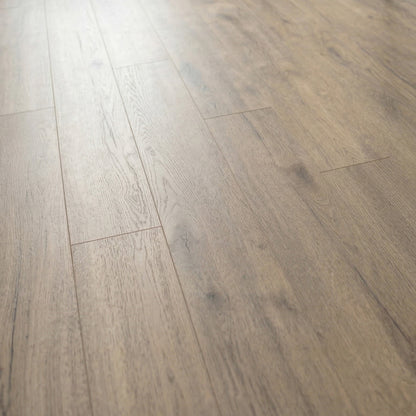 Pettersson Oak Beige - Exquisite 8mm Laminate Flooring