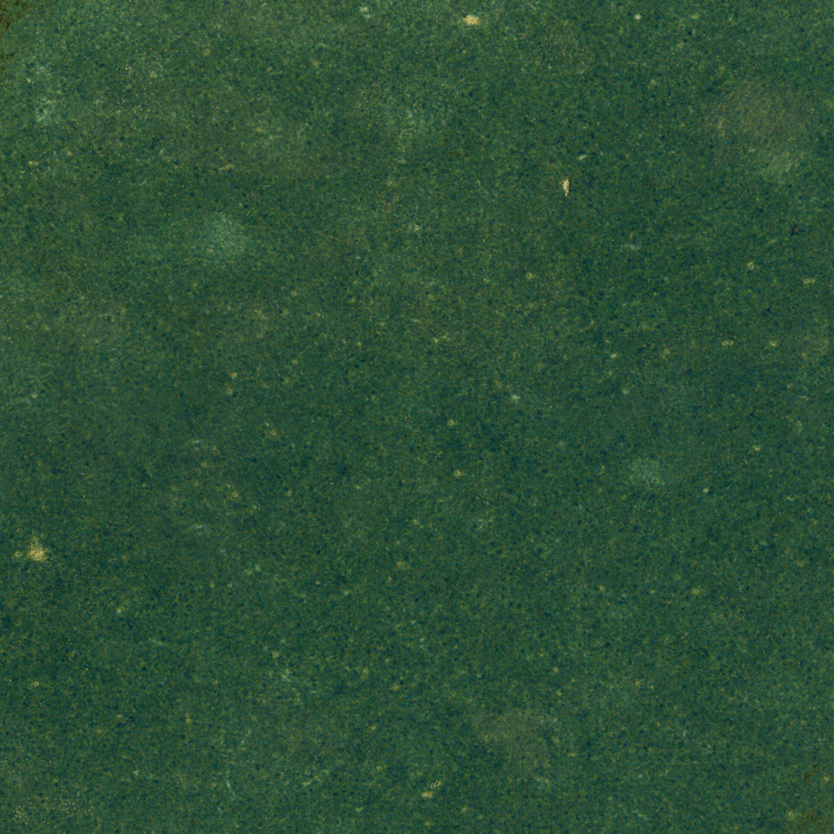 Green Gloss - Aura Smooth Hexagon Ceramic Wall Tile