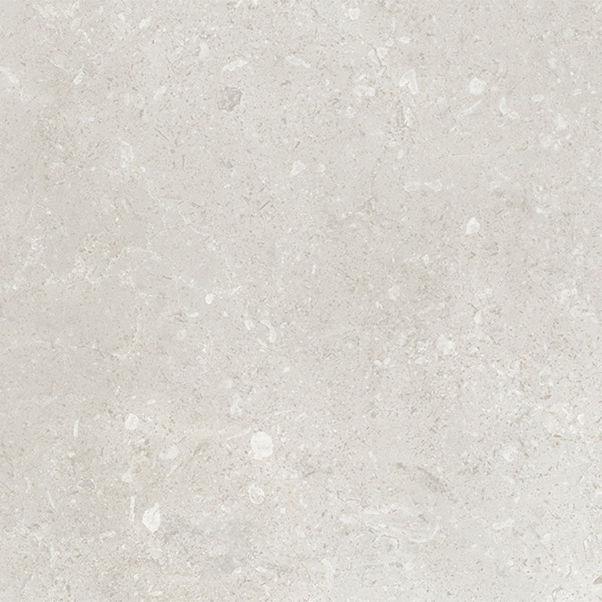 Belmont Matt - Smooth Ceramic Wall Tile