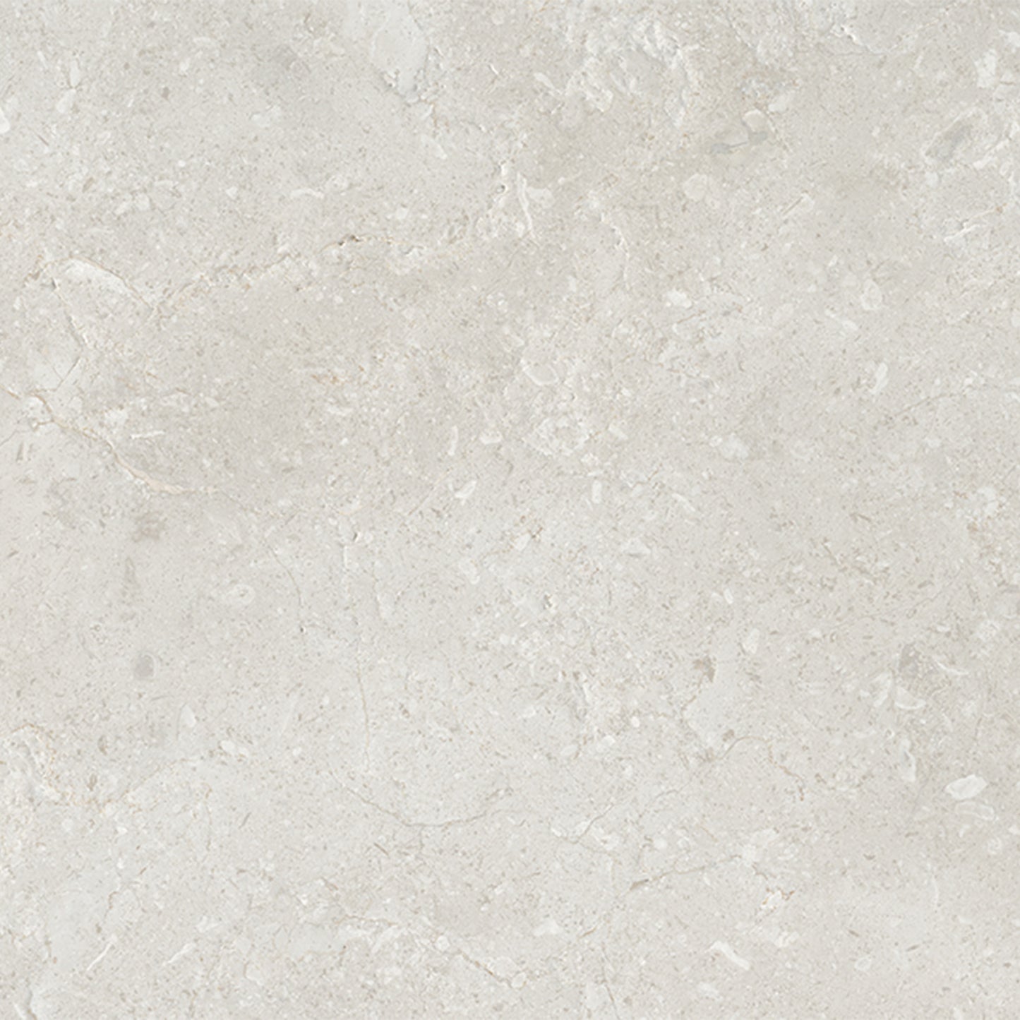 Belmont Matt - Smooth Ceramic Wall Tile
