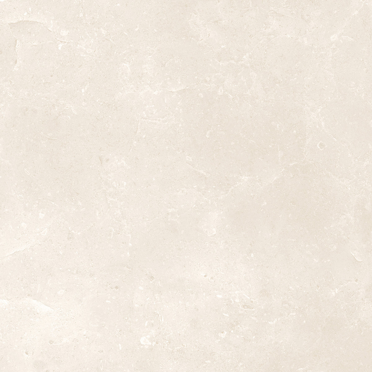 Belmont Matt - Smooth Porcelain Wall & Floor Tile