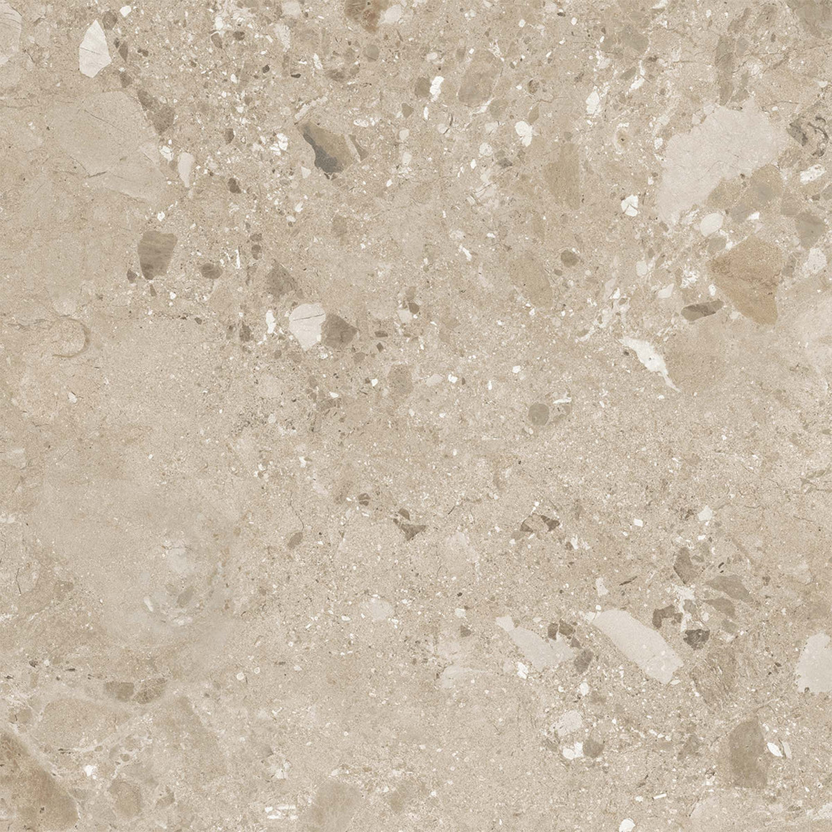 Beige Matt - Terazzia Smooth Porcelain Wall & Floor Tile