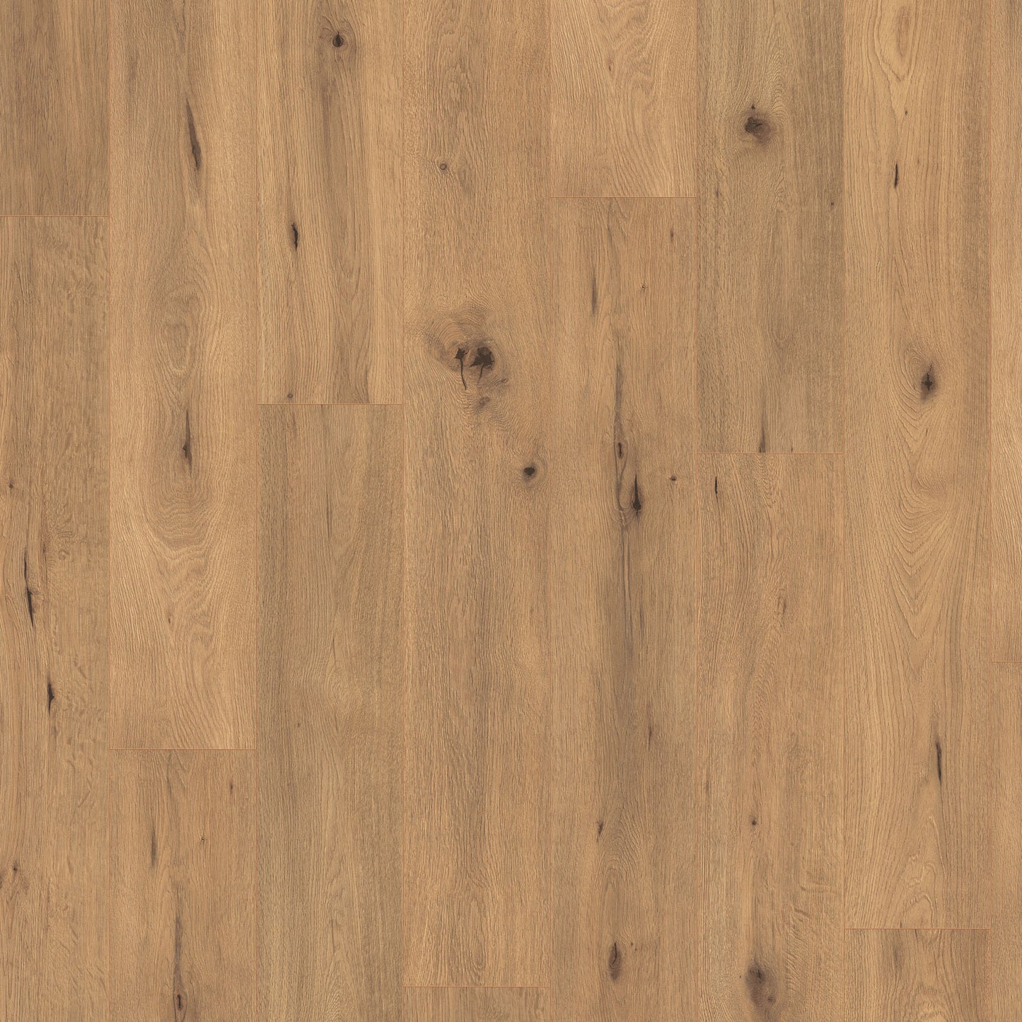 Untamed Oak - Wood essence 7mm Sample (EL2067)