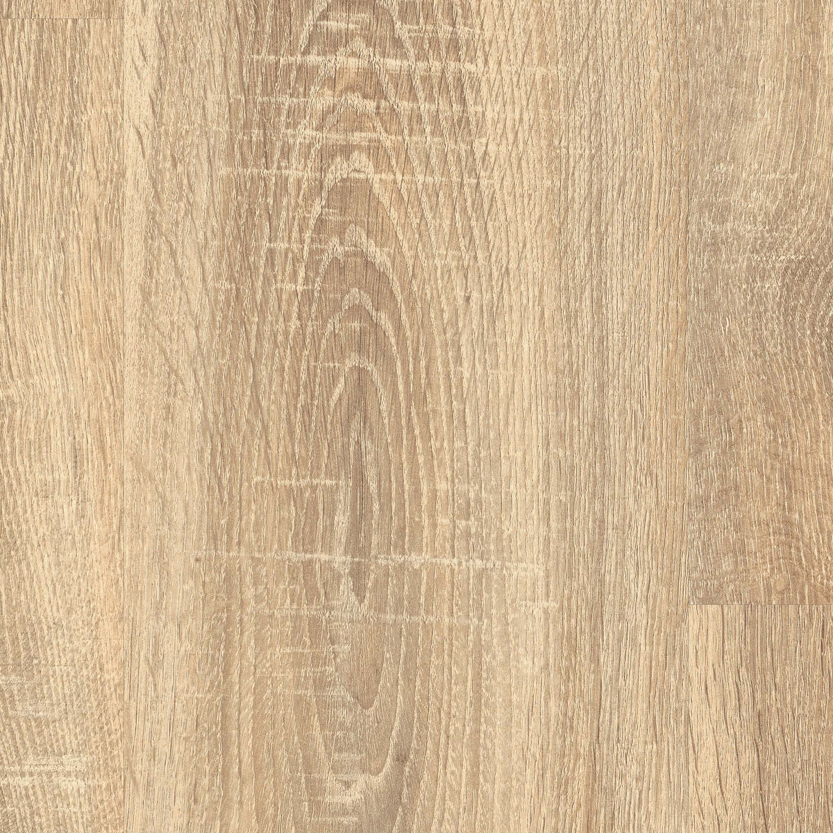 Tranquil Oak - Wood Essence Water Resistant 8mm Laminate Flooring
