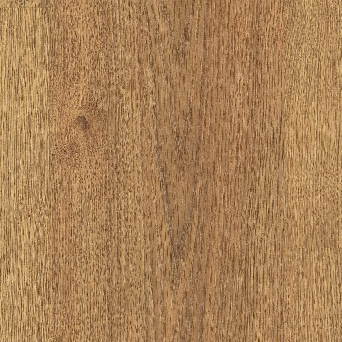 Amber Silvan Oak - Wood Essence Water Resistant 8mm Laminate Flooring