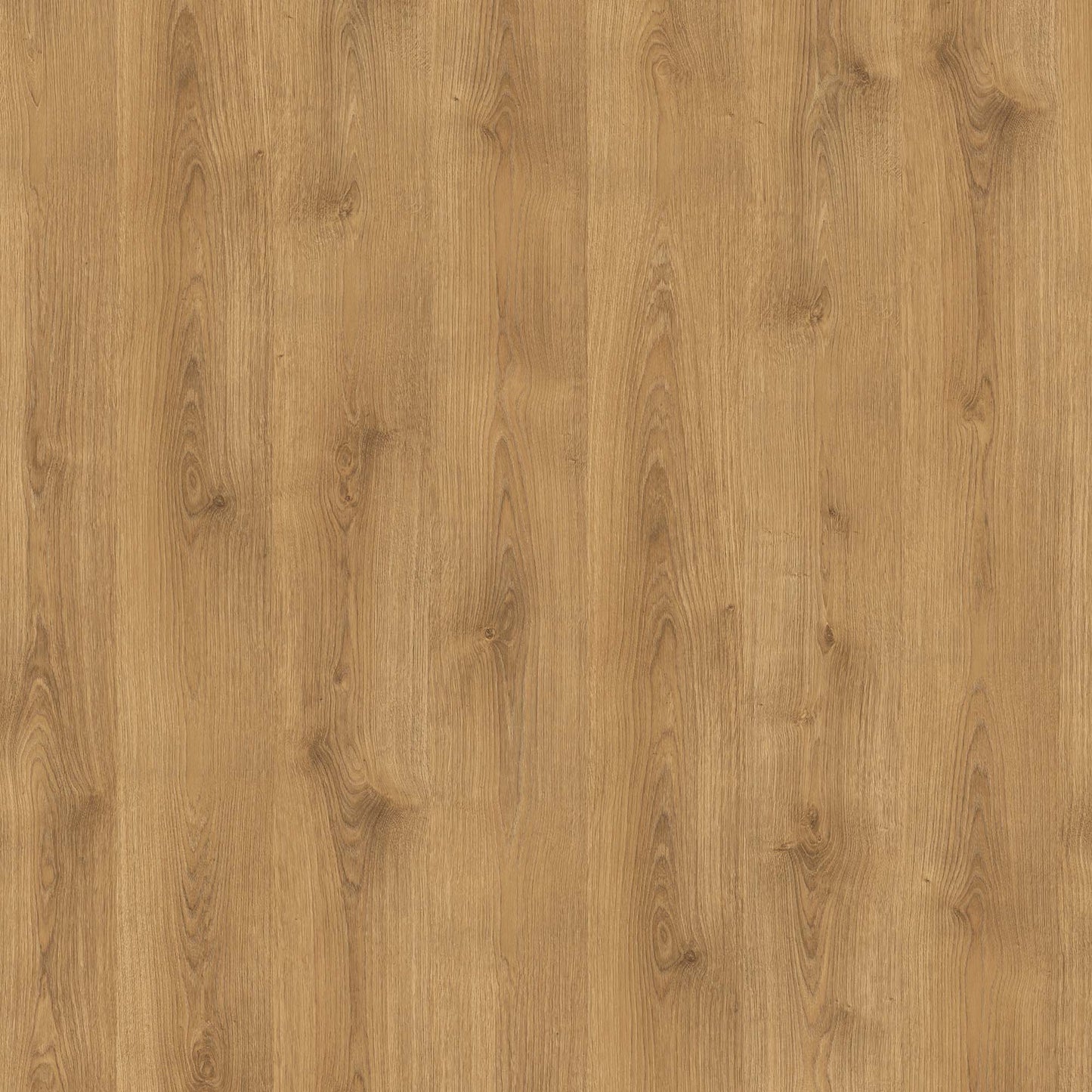 Rawland Oak - Wood essence 8mm Sample (EL2970)