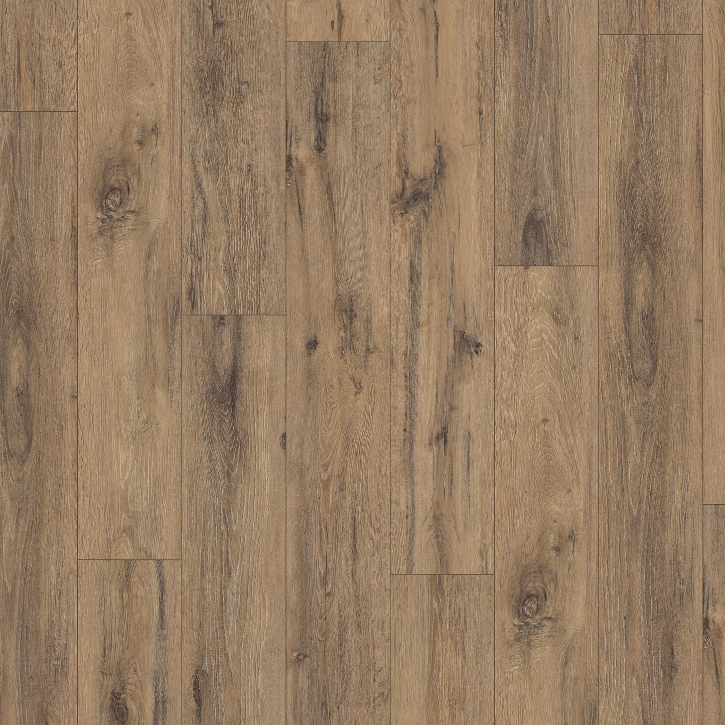 Deep Panel Oak - Wood essence 8mm Sample (EL1007)