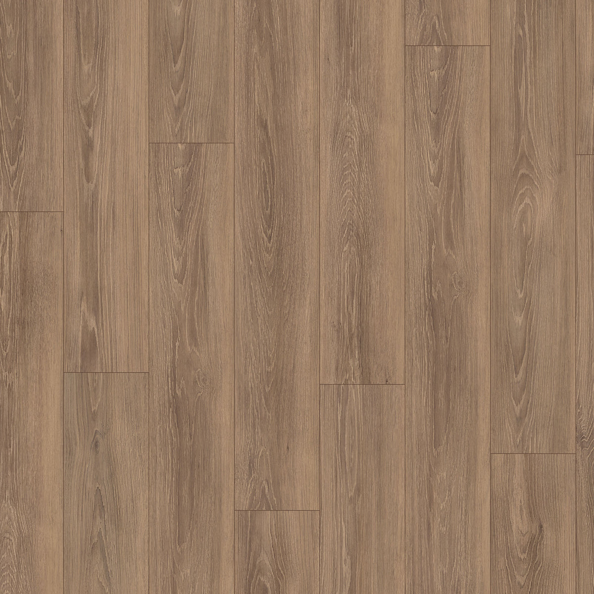 Warm Haven Oak - Wood Essence Water Resistant 8mm Laminate Flooring