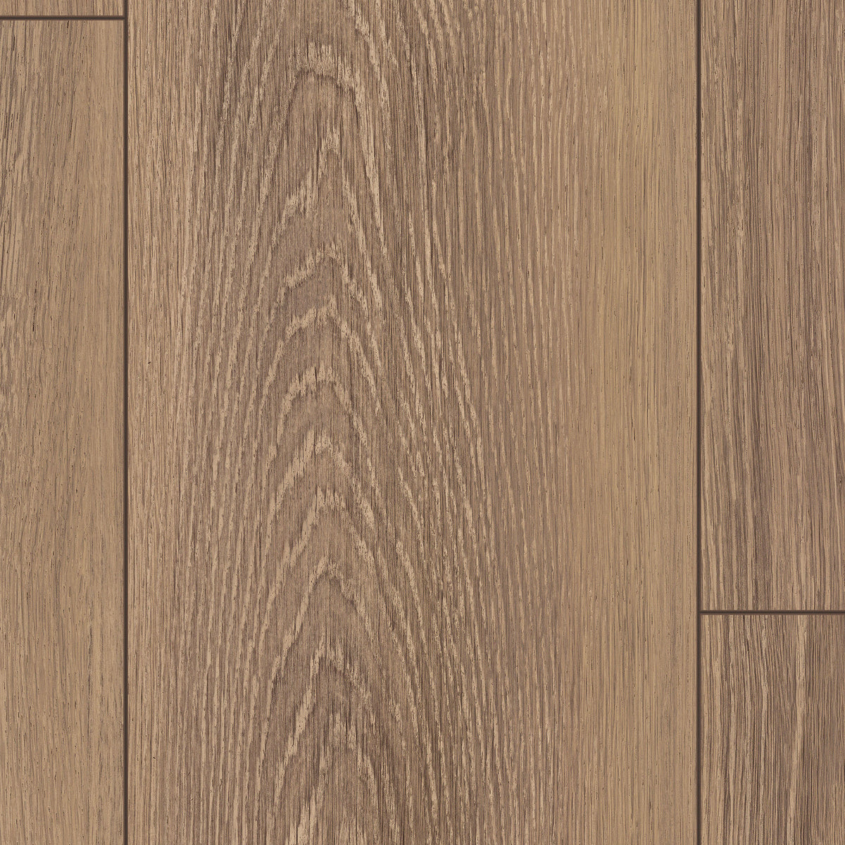 Warm Haven Oak - Wood Essence Water Resistant 8mm Laminate Flooring