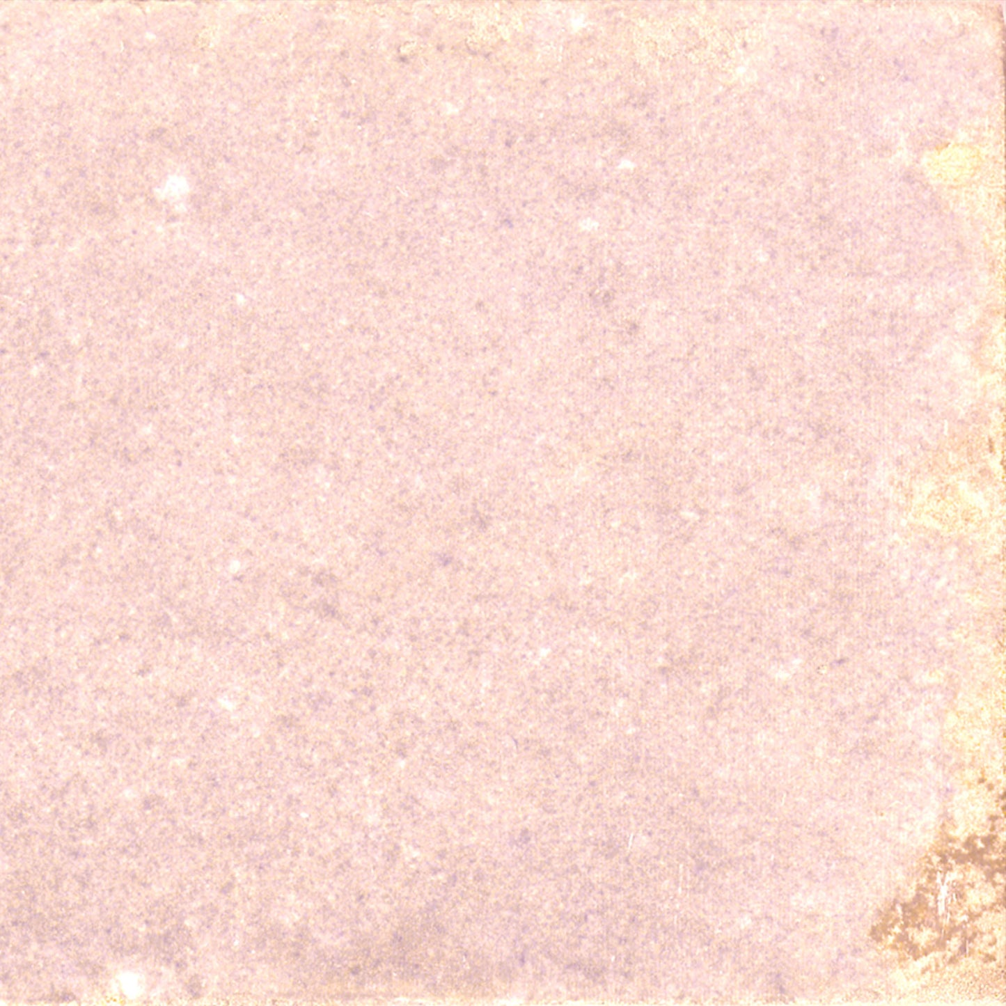 Rose Gloss - Aura Smooth Ceramic Wall Tile Sample