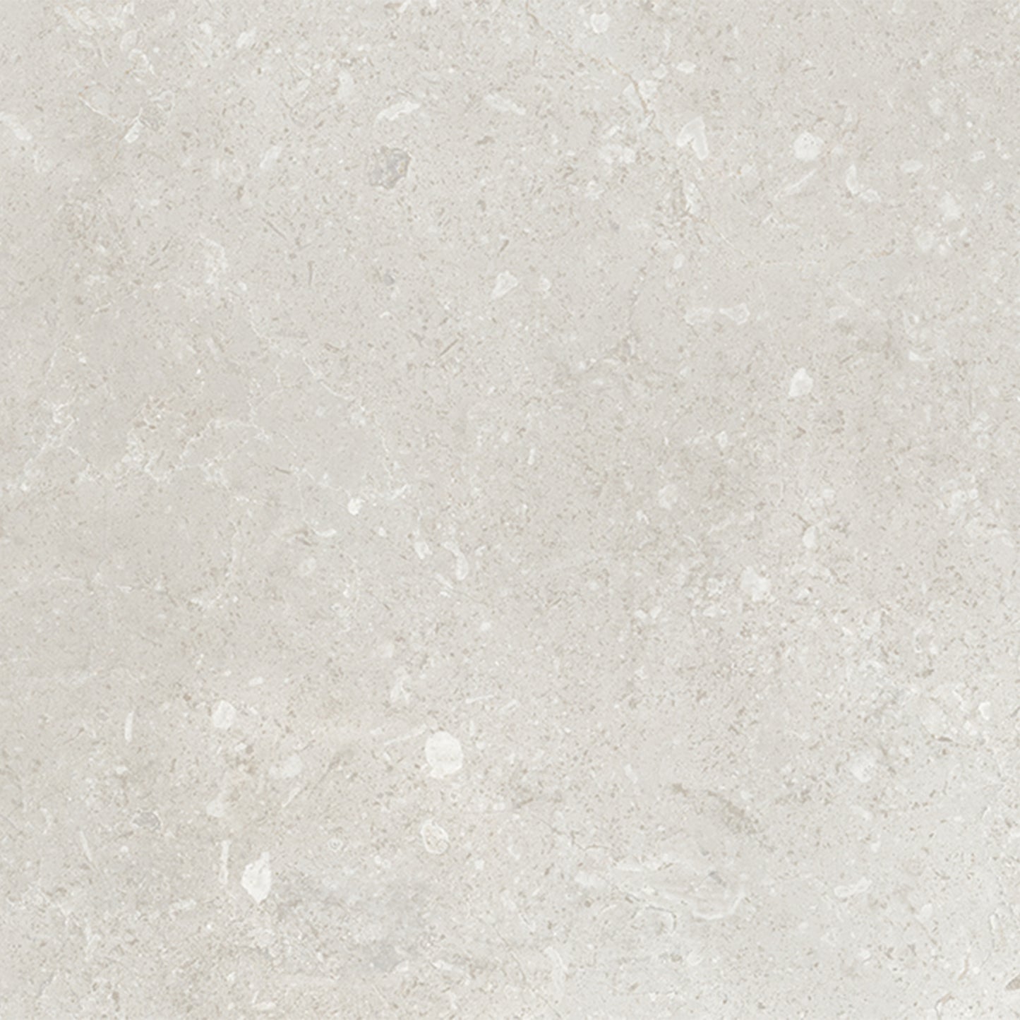 Belmont Matt - Smooth Ceramic Wall Tile Sample