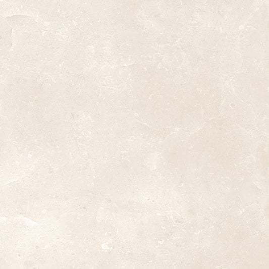 Belmont Matt - Smooth Porcelain Wall & Floor Tile Sample