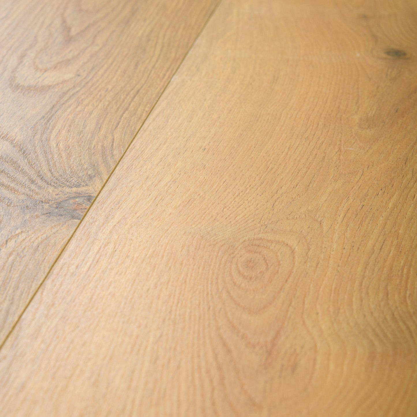 Gyant Warm Natural - Ocean Water Resistant 8mm Laminate Flooring (B4124)
